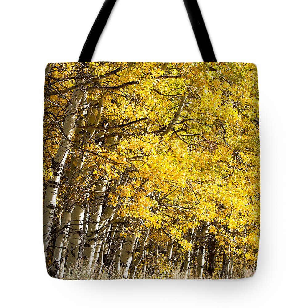 Grand Teton Tote Bag featuring the photograph Golden II by Shari Sommerfeld