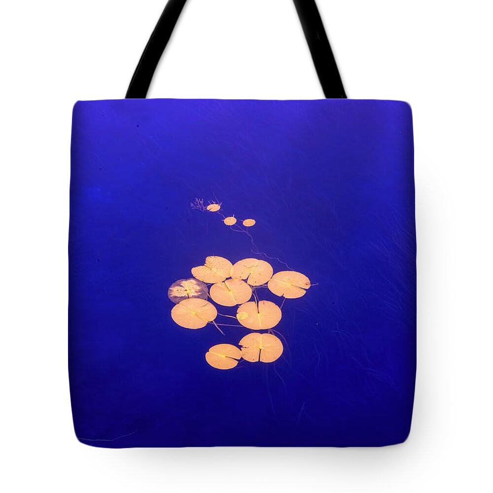 St Lawrence Seaway Tote Bag featuring the photograph Golden Lilypads by Tom Singleton
