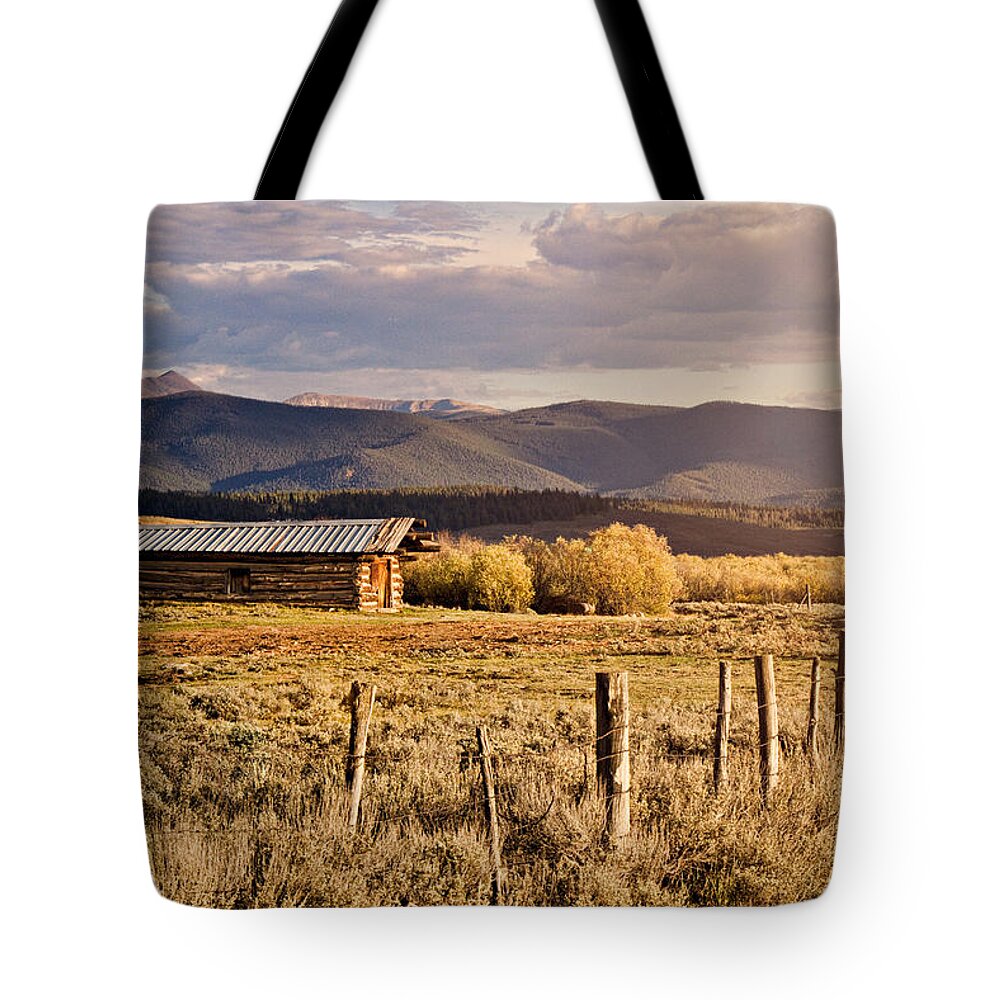 Autumn Tote Bag featuring the photograph Golden Lonesome by Lana Trussell
