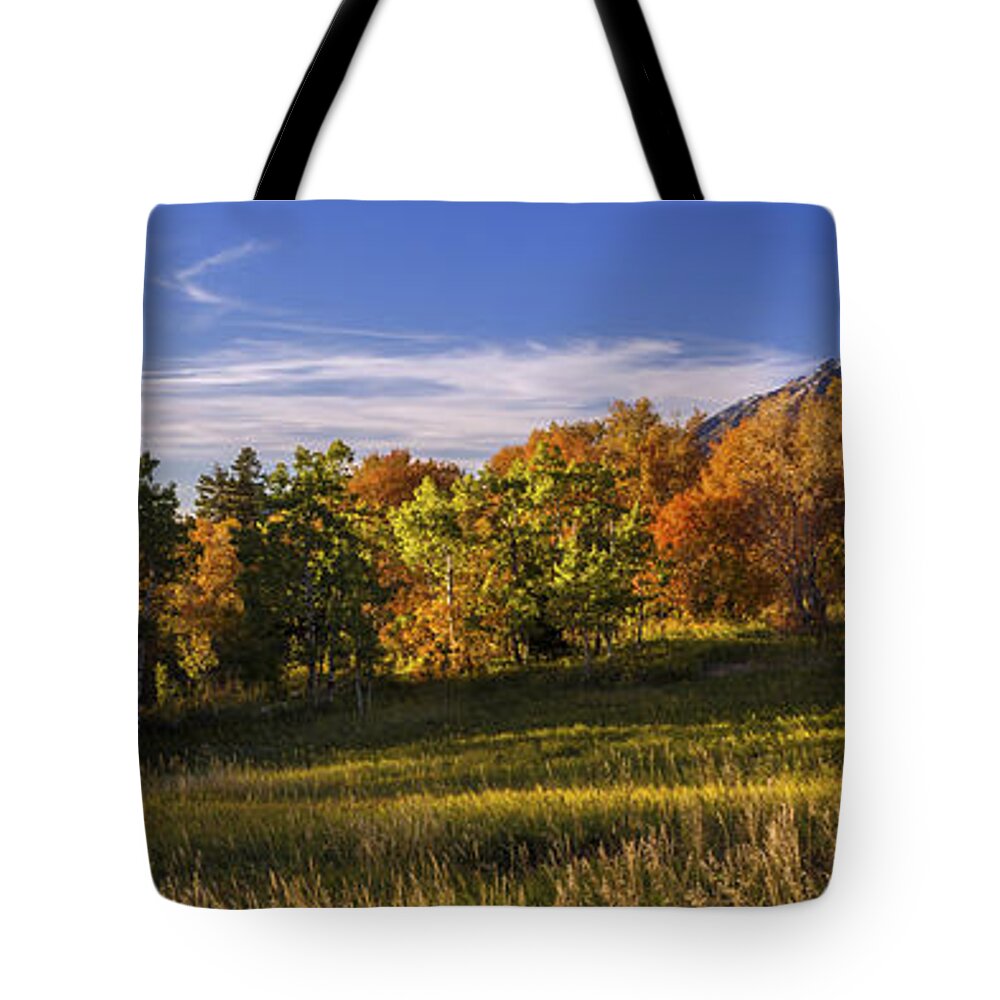 Golden Meadow Tote Bag featuring the photograph Golden Meadow by Chad Dutson
