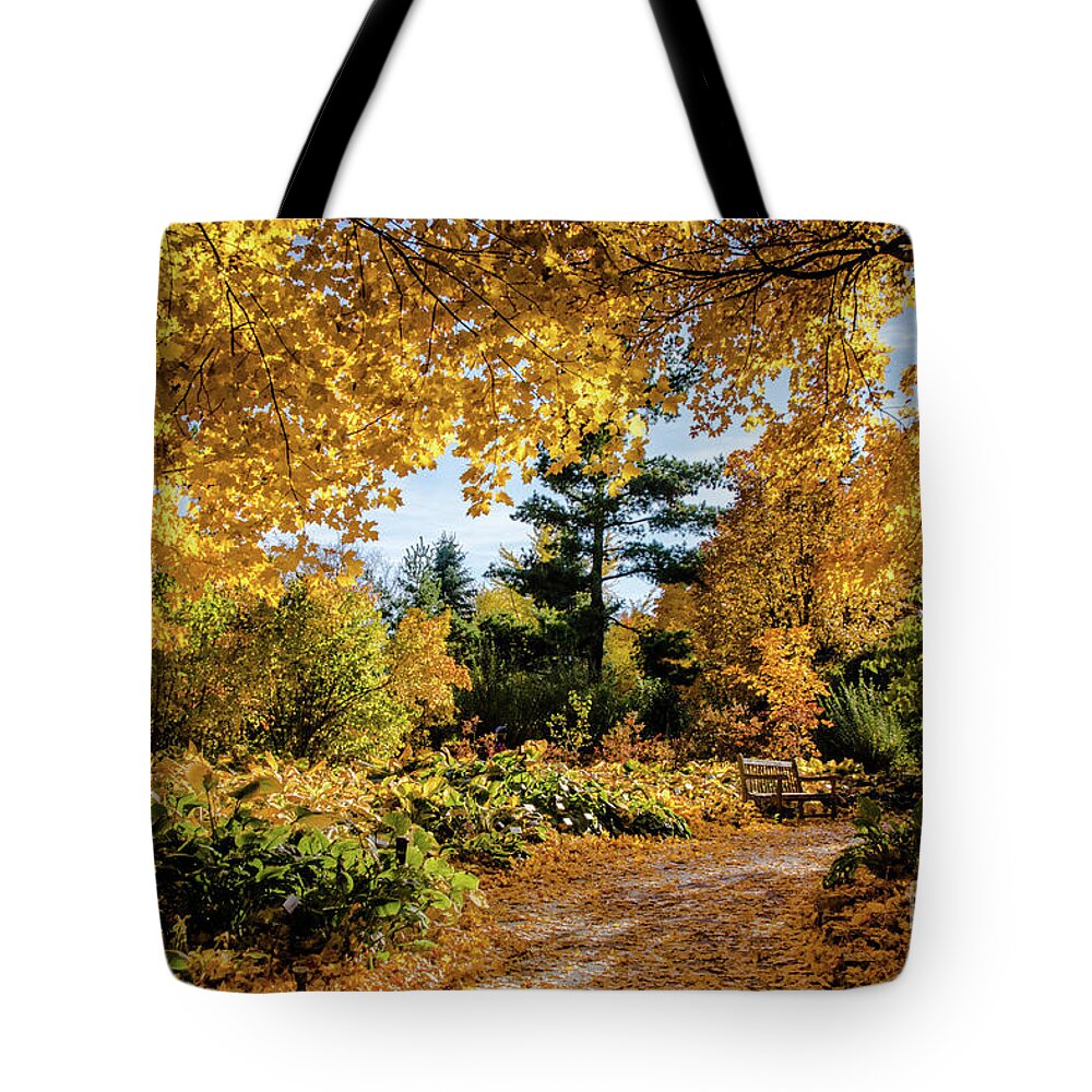Tinas Captured Moments Tote Bag featuring the photograph Golden Moment by Tina Hailey