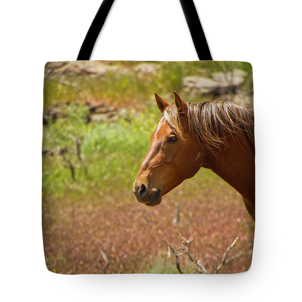 Horses Tote Bag featuring the photograph Golden Mustang Stallion by Waterdancer