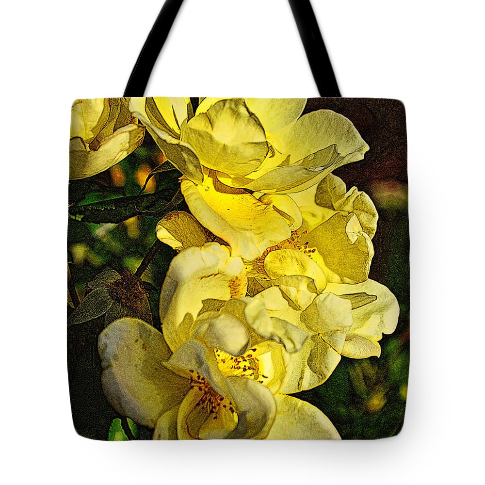 Rose Tote Bag featuring the photograph Golden Oldie Sunset Rose by Miriam Danar