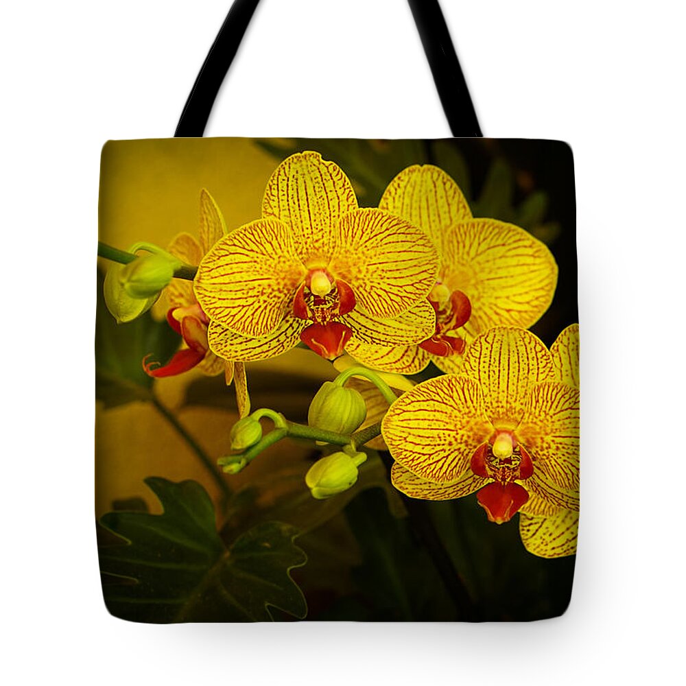 Orchids Tote Bag featuring the photograph Golden Orchids by Mary Buck
