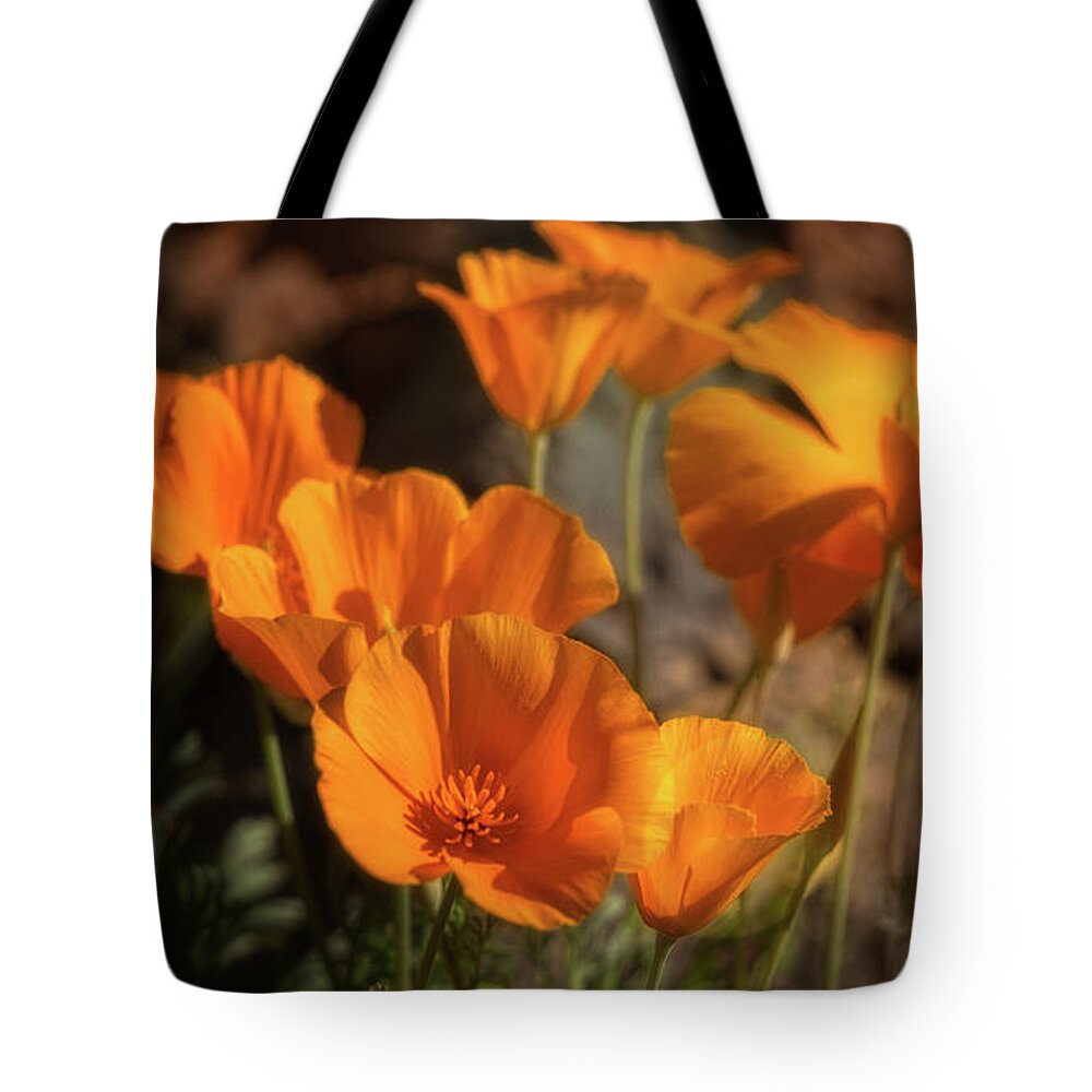 Poppies Tote Bag featuring the photograph Golden Poppies Abound by Saija Lehtonen