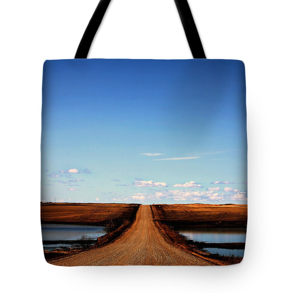  Tote Bag featuring the photograph Golden Prairie by Darcy Dietrich