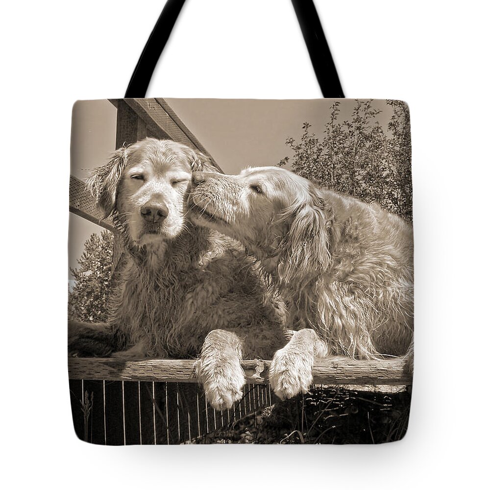 Golden Retriever Tote Bag featuring the photograph Golden Retriever Dogs the Kiss Sepia by Jennie Marie Schell