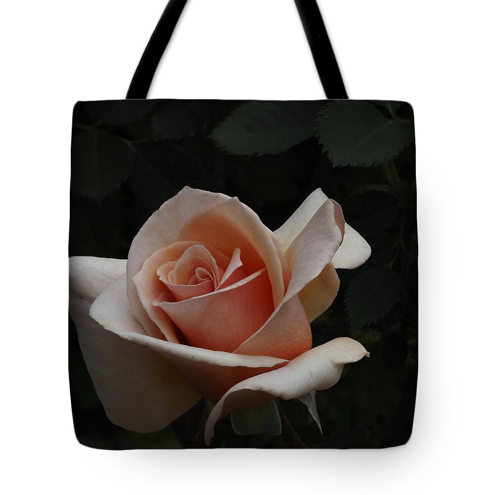 Botanical Tote Bag featuring the photograph Golden Rose by Richard Thomas