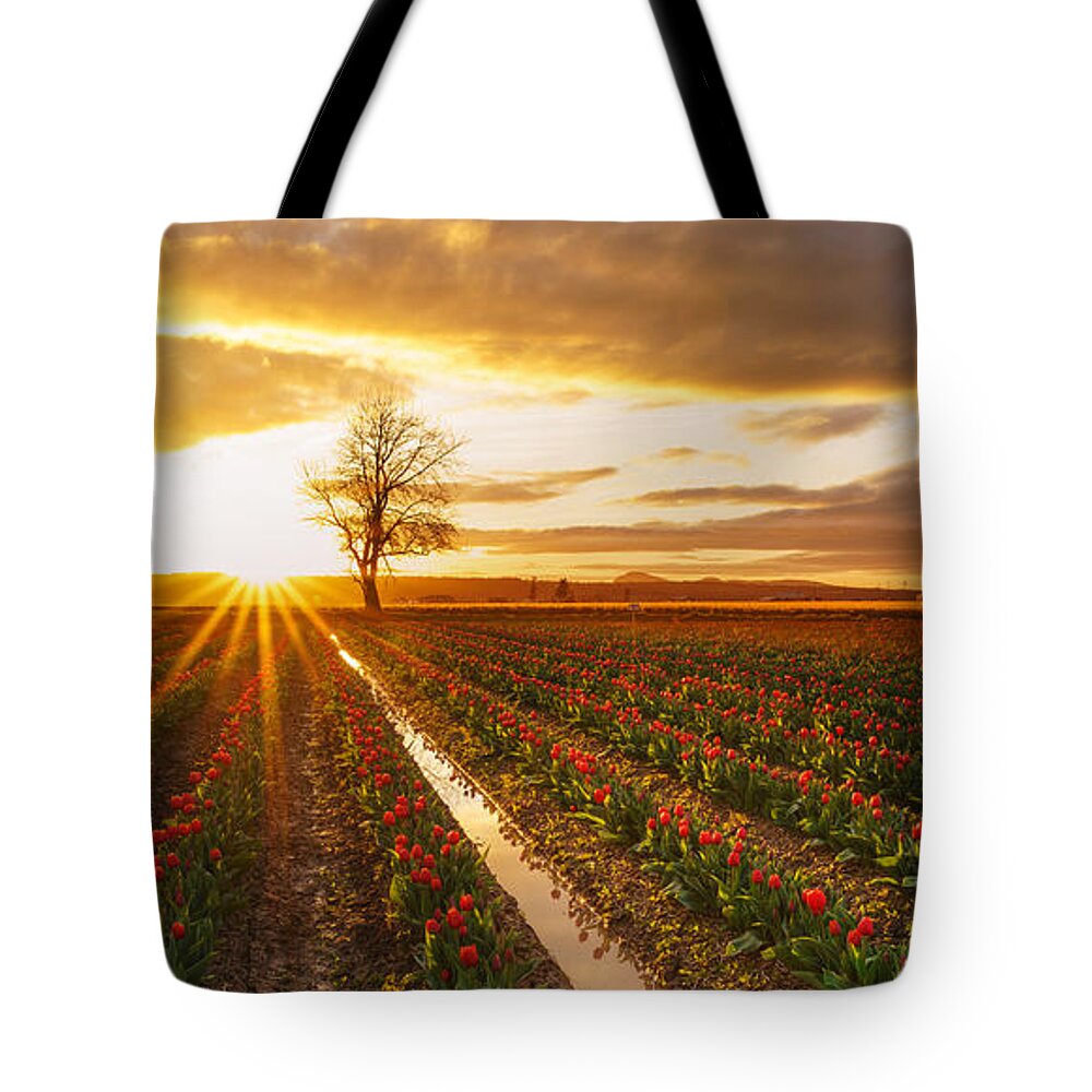 Tulip Fields Tote Bag featuring the photograph Golden Skagit Valley Sunset by Mike Reid