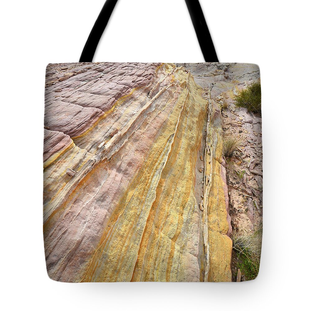 Valley Of Fire State Park Tote Bag featuring the photograph Golden Stripes in Valley of Fire by Ray Mathis