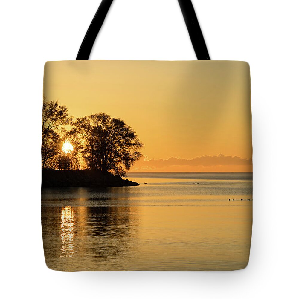 Georgia Mizuleva Tote Bag featuring the photograph Golden Sunrise Glide With a Bit of Breeze by Georgia Mizuleva