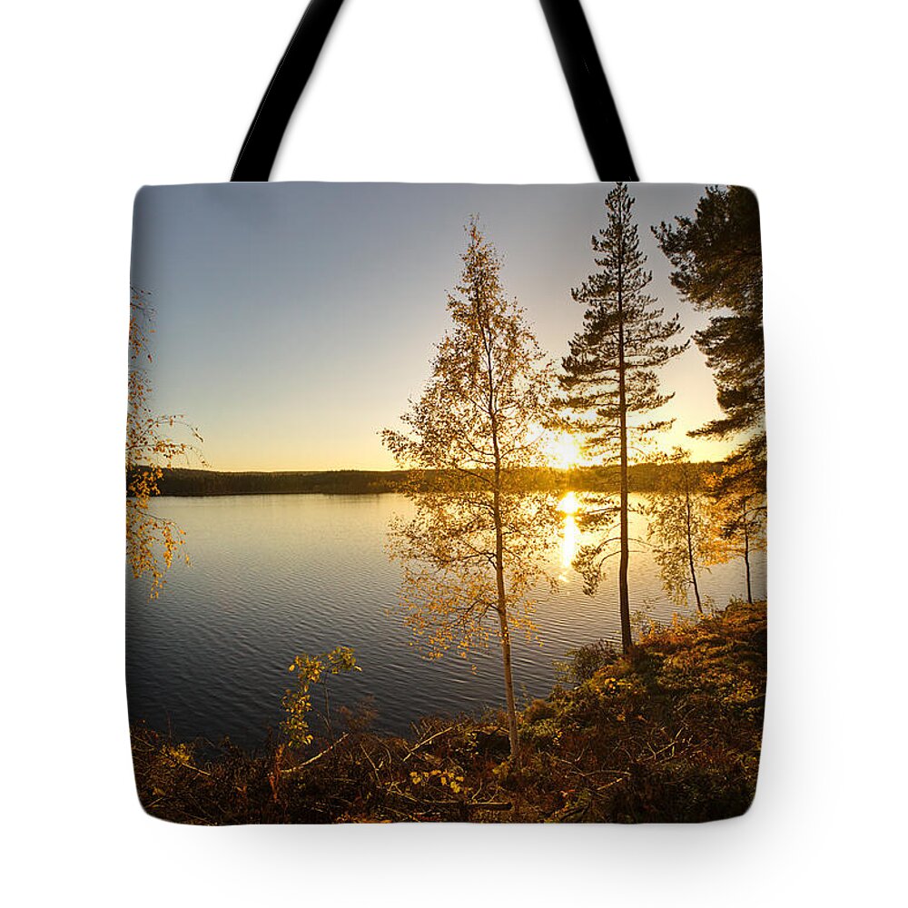 Nature Tote Bag featuring the photograph Golden sunshine illuminating the trees at a lake by Ulrich Kunst And Bettina Scheidulin