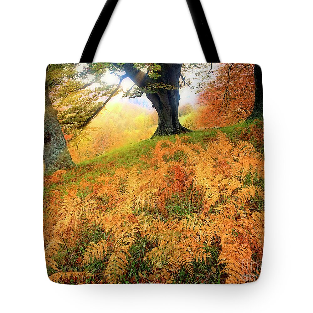 Nag939483c Tote Bag featuring the photograph Golden Times by Edmund Nagele FRPS