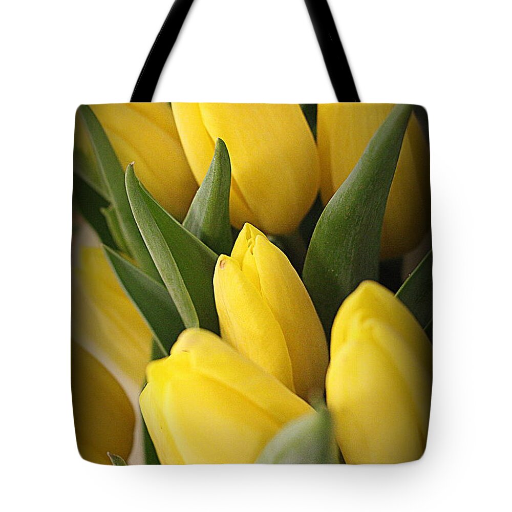 Tulips Tote Bag featuring the photograph Golden Tulips by Dora Sofia Caputo