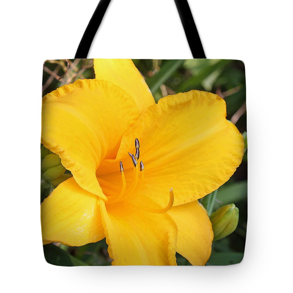 Golden Yellow Tote Bag featuring the photograph Golden Yellow Lily by Ellen Tully