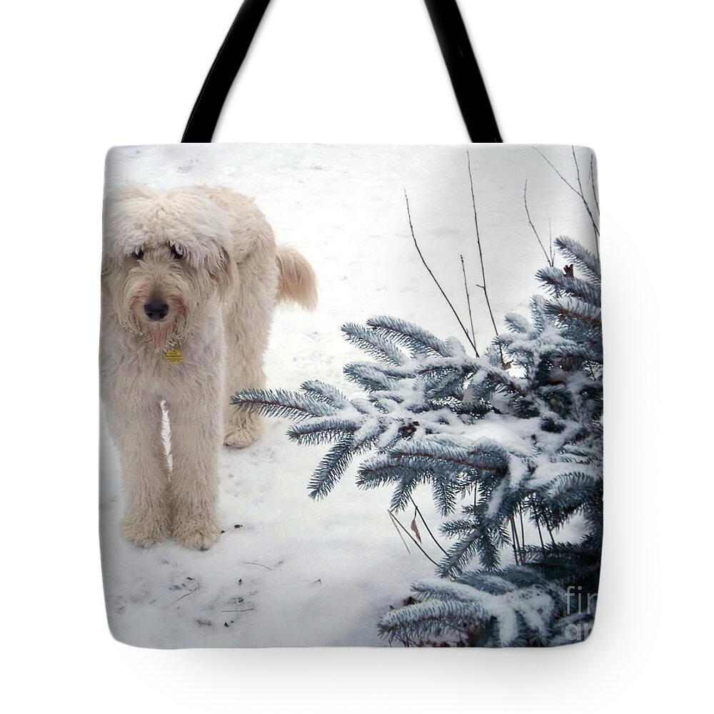 Dog Tote Bag featuring the photograph Goldendoodle by Andrea Kollo