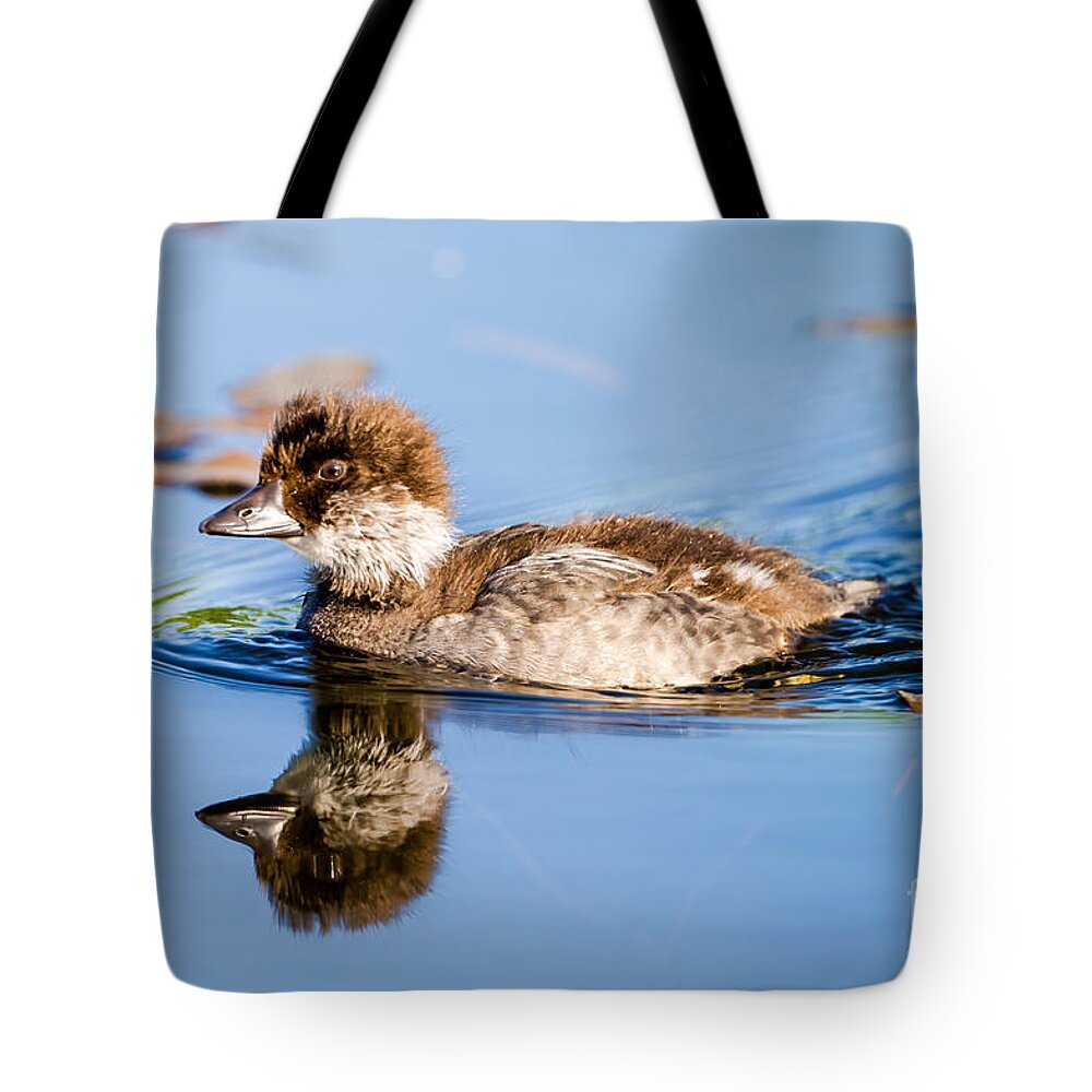 Common Goldeneye Tote Bag featuring the photograph Goldeneye young by Torbjorn Swenelius