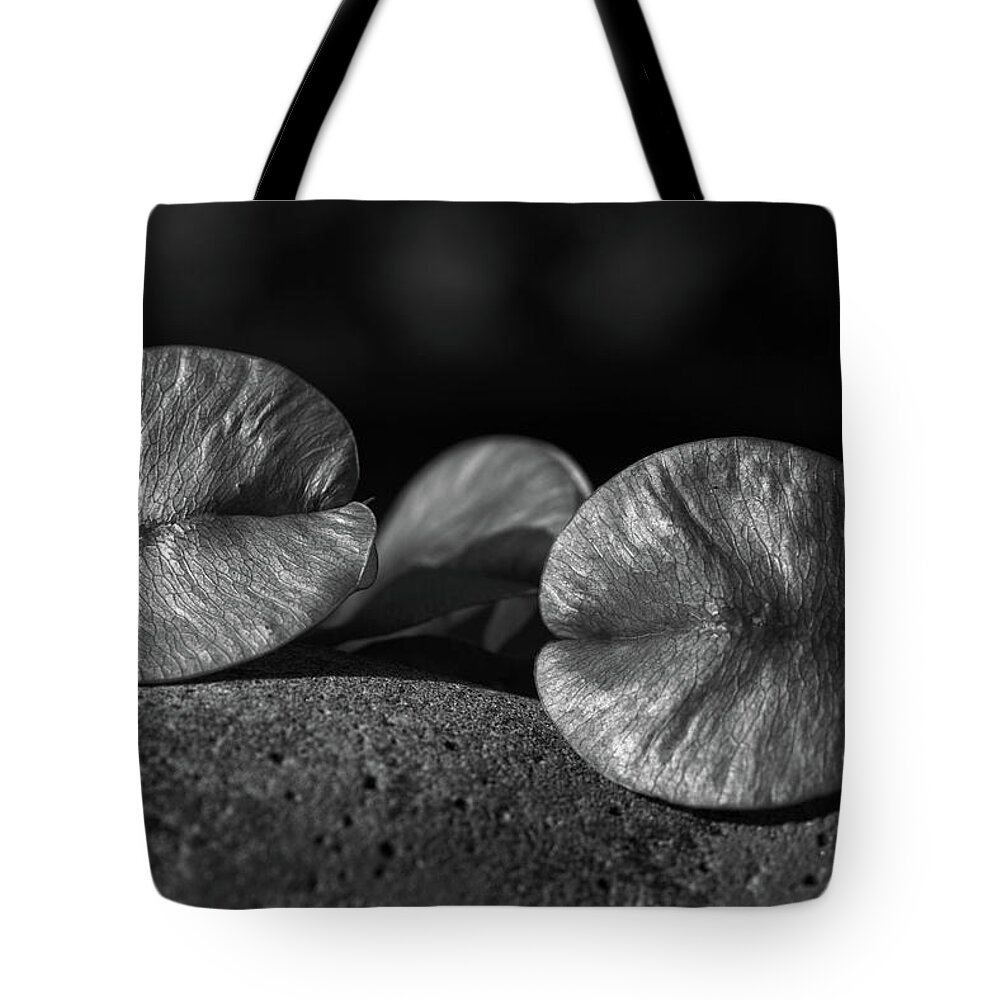 Goldenrain Tree Tote Bag featuring the photograph Goldenrain leaves 2 by Richard Rizzo