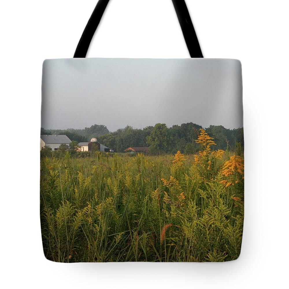 Goldenrod Grove Tote Bag featuring the photograph Goldenrod Grove by Dylan Punke