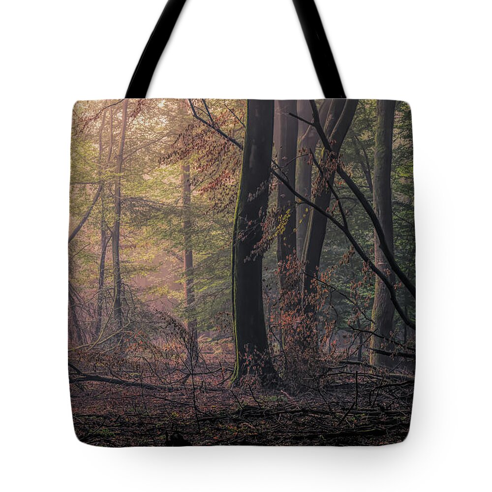 Autumn Tote Bag featuring the photograph Good morning Speulderbos by Tim Abeln