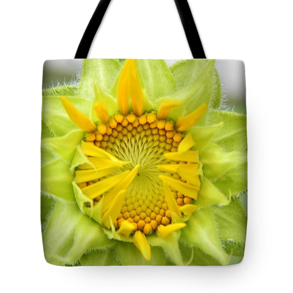 Flower Tote Bag featuring the ceramic art Good Morning Sunshine by Jan Gelders