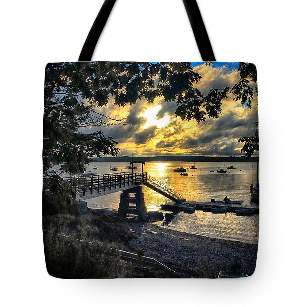 Madeleine Point Tote Bag featuring the photograph Good Night Madeleine Point by Elizabeth Dow