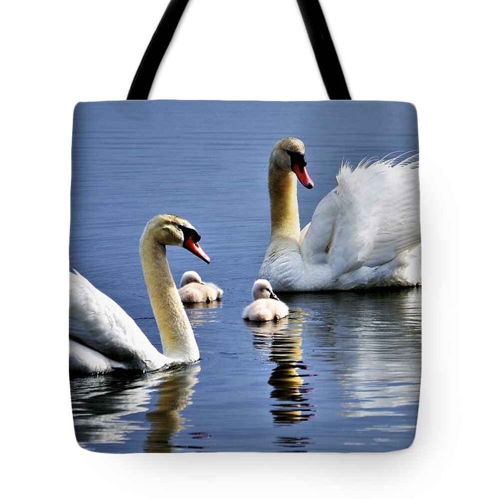 Swans Tote Bag featuring the photograph Good Parents by Chuck Brown
