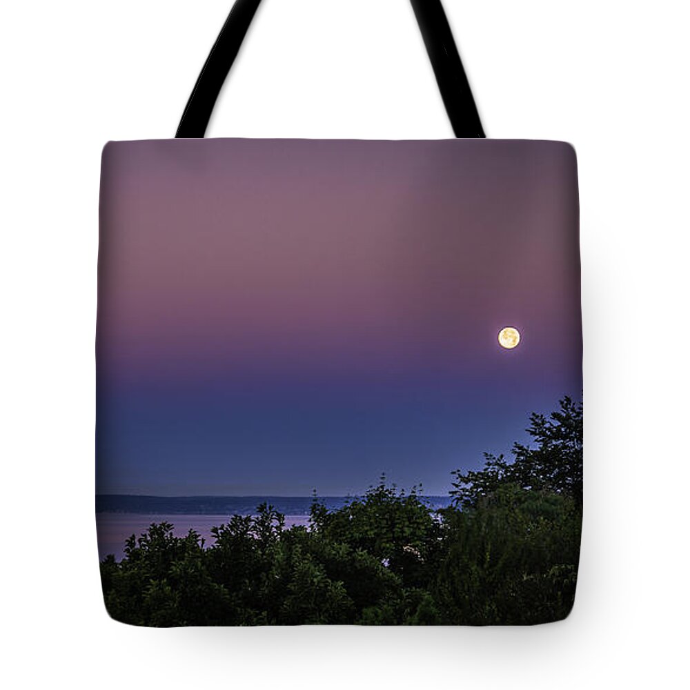 Moon Tote Bag featuring the photograph Goodbye The Moon by Mark Joseph