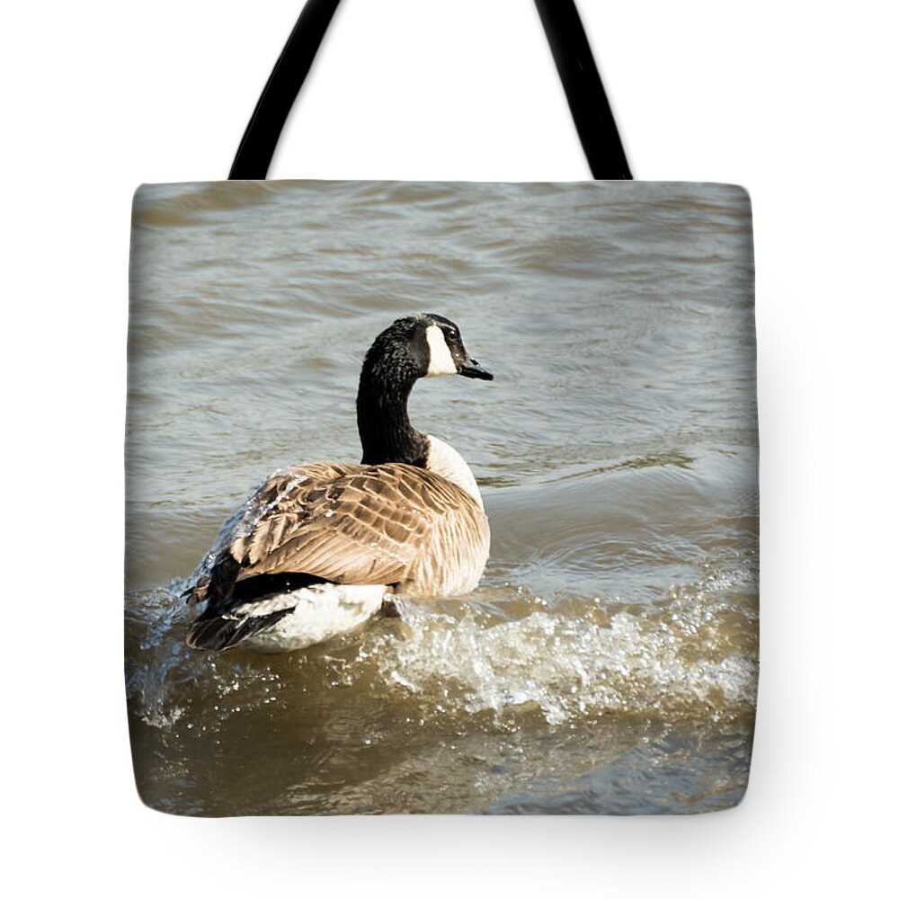Goose Tote Bag featuring the photograph Goose Rides A Wave by Holden The Moment