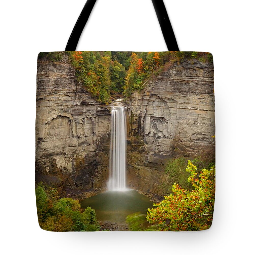 Fall Tote Bag featuring the photograph Gorges Are Gorgeous by Amanda Jones