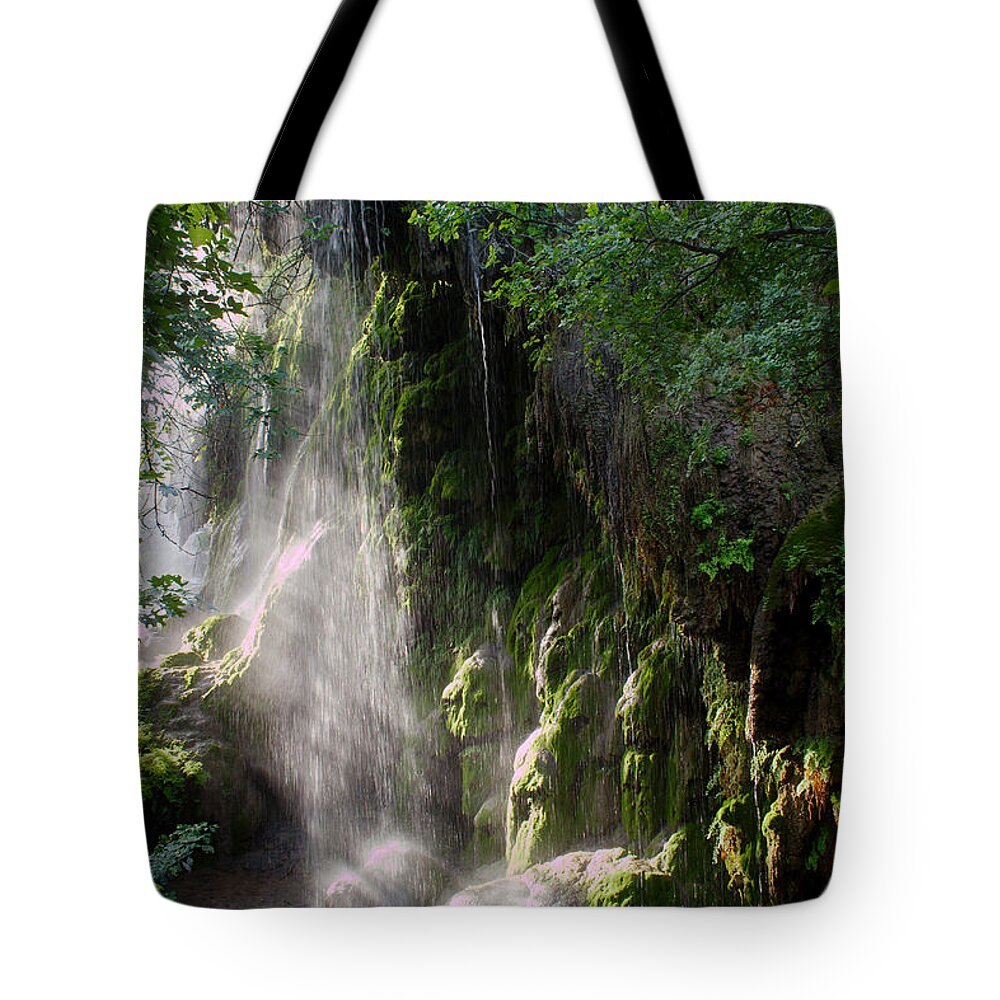 James Smullins Tote Bag featuring the photograph Gormon falls Colorado bend state park. by James Smullins