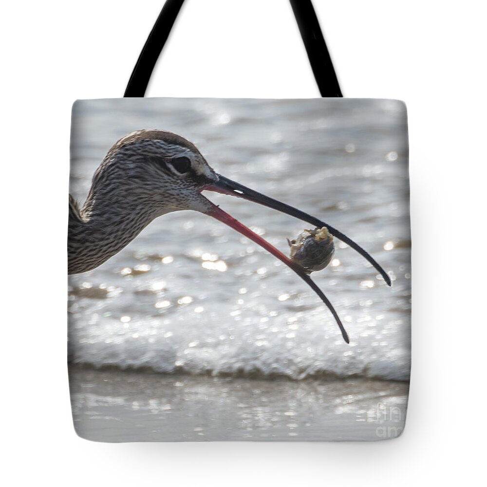Natanson Tote Bag featuring the photograph Got Crabs by Steven Natanson