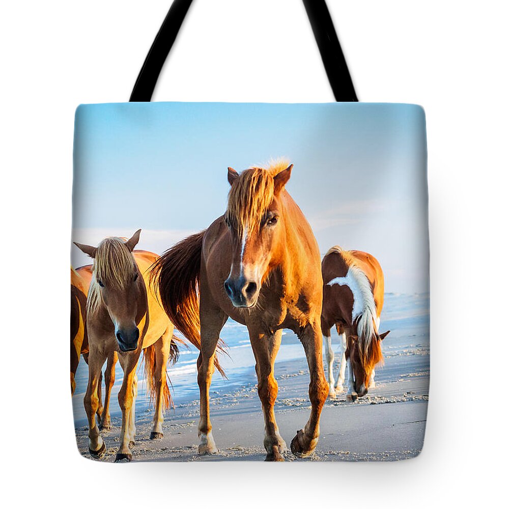 Assateague Island Tote Bag featuring the photograph Assateague Wild Ponies by Louis Dallara