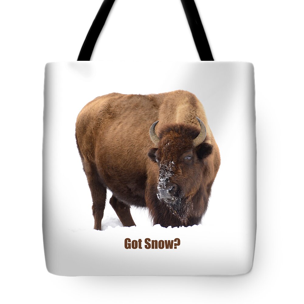 Snow Tote Bag featuring the photograph Got Snow? by Greg Norrell
