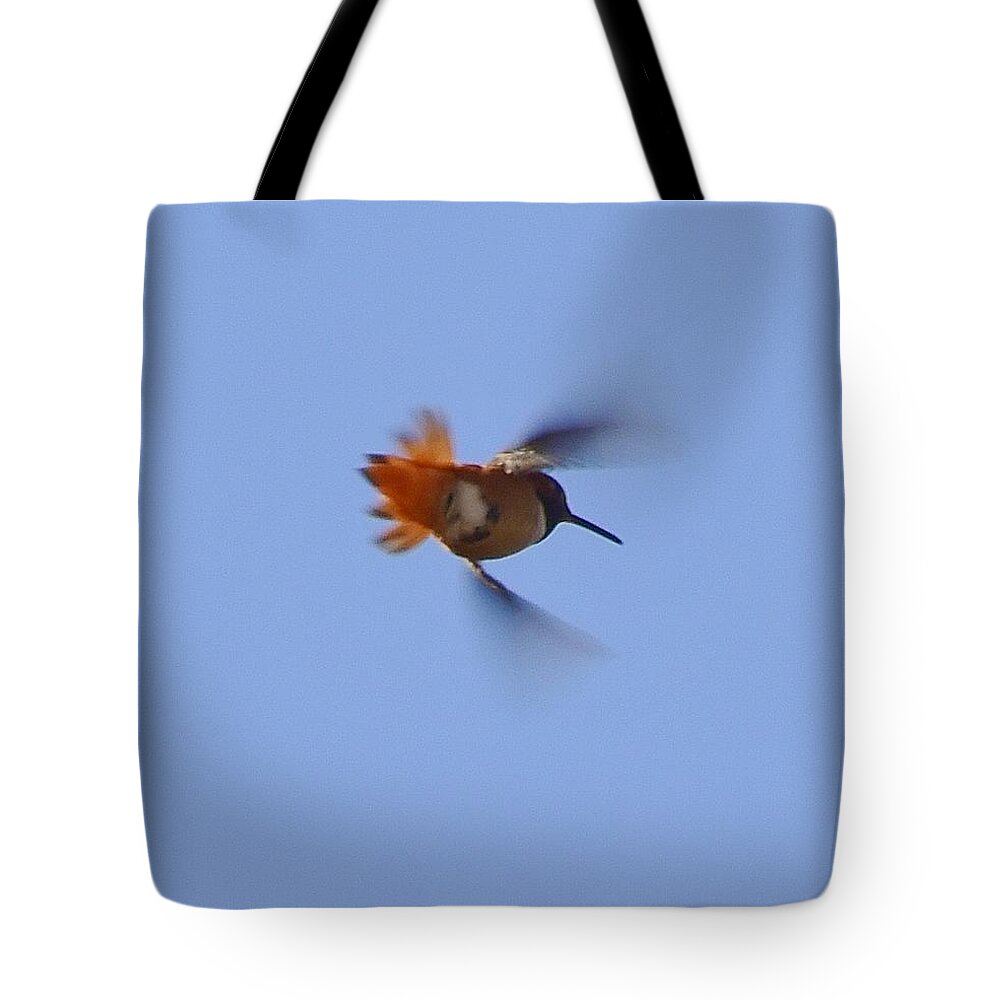 Linda Brody Tote Bag featuring the photograph Gotta Go Fast II by Linda Brody