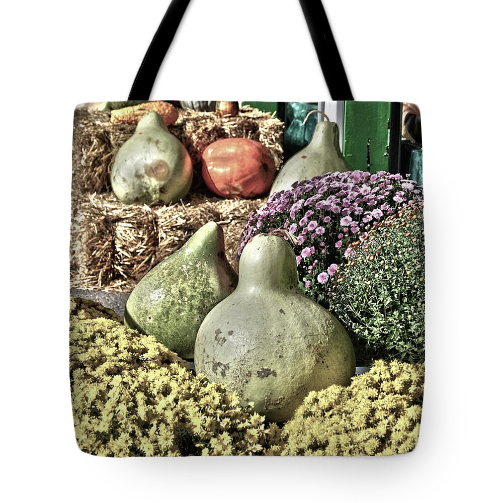 Pumpkin. Pumpkins Tote Bag featuring the photograph Gourds on Display 2 by Lesa Fine