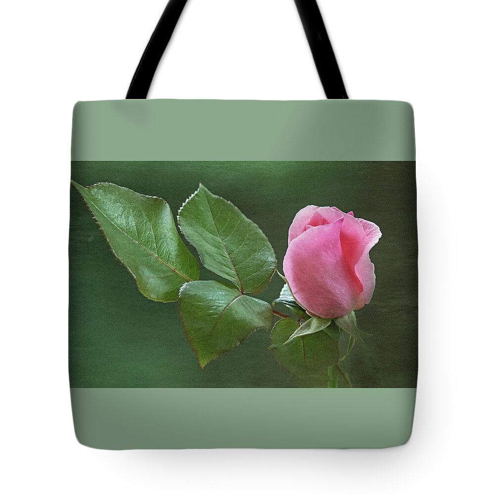 Pink Rose Bud Tote Bag featuring the photograph Grace by Angie Vogel