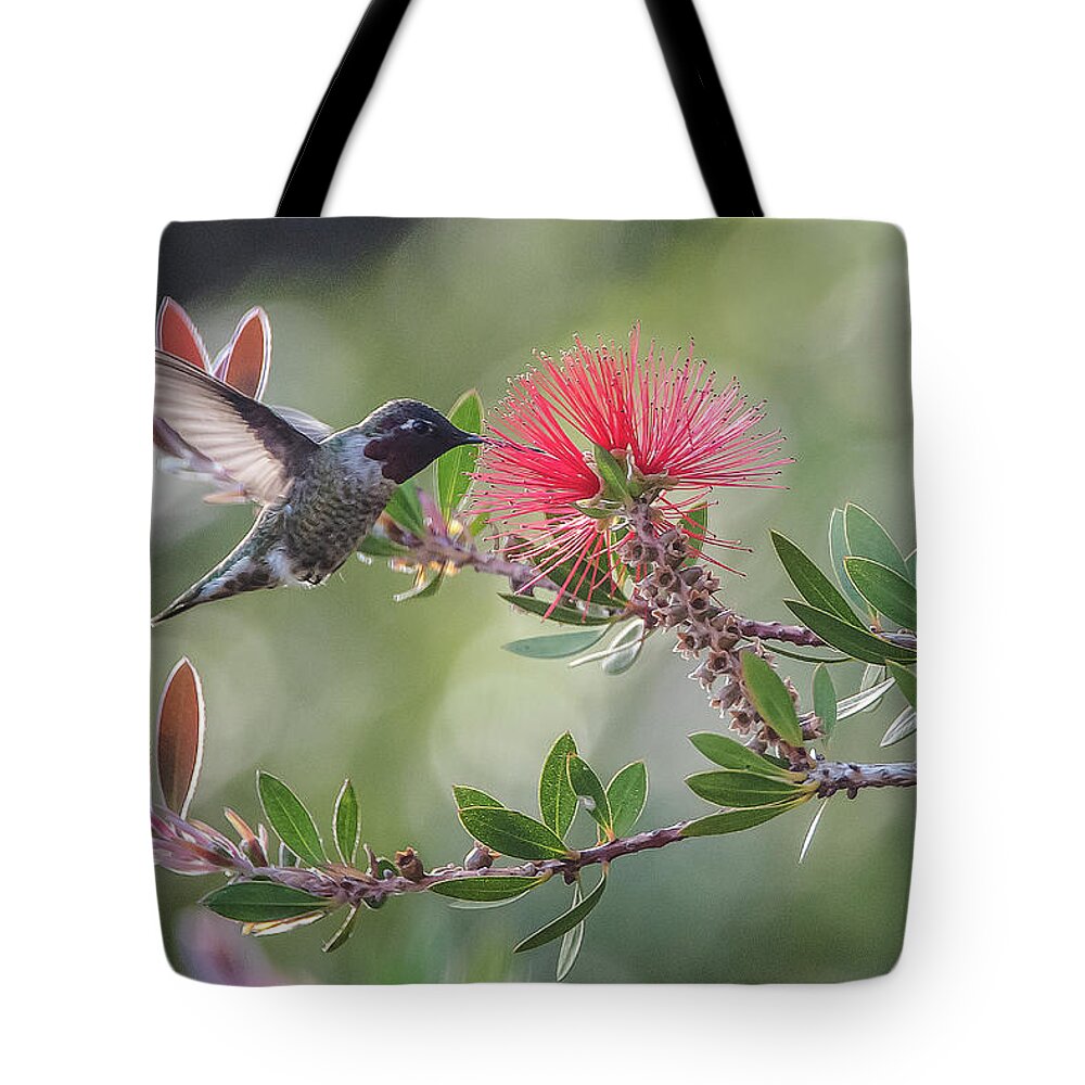 Hummingbird Tote Bag featuring the photograph Grace by Bill Roberts