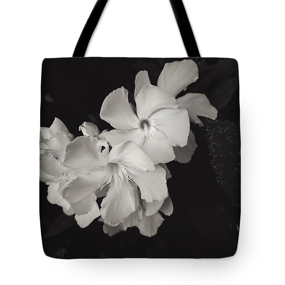 Flower Tote Bag featuring the photograph Grace in White by Brad Hodges