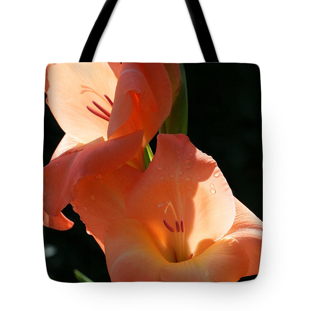 Gladiolus Tote Bag featuring the photograph Graceful Gladiolus by Tammy Pool