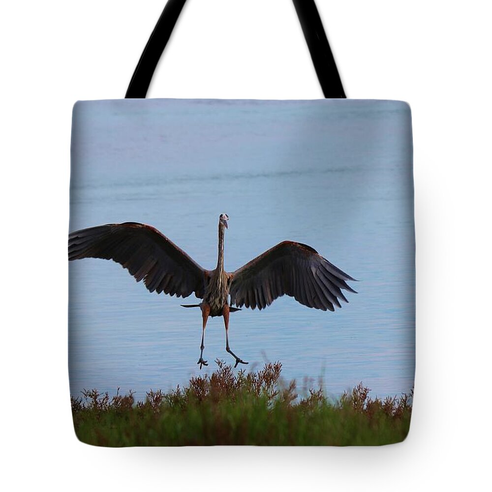 Great Blue Heron Tote Bag featuring the photograph Graceful Landing by Christy Pooschke