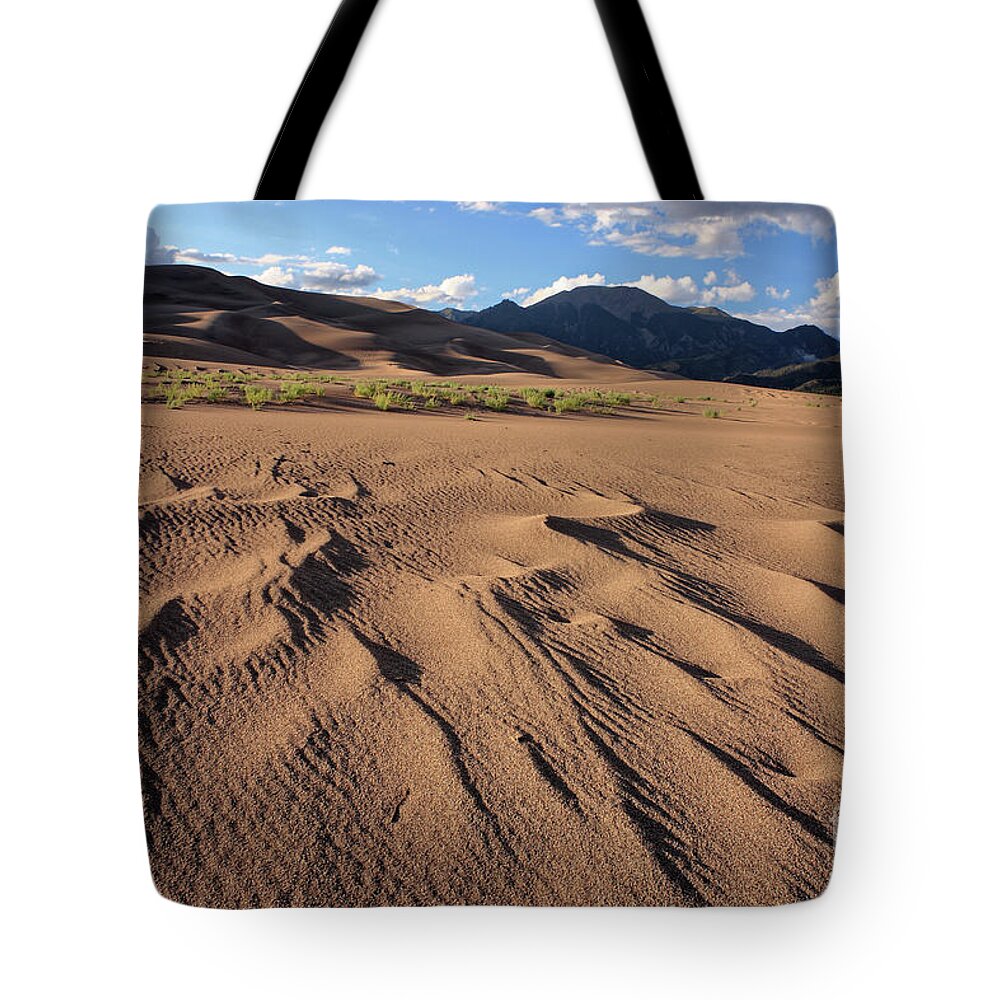 Great Sand Dunes Tote Bag featuring the photograph Great Sand Dunes N.P., Colorado, USA by Kevin Shields