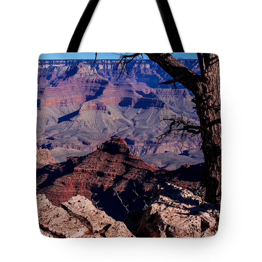 Grand Canyon National Park Tote Bag featuring the photograph Grand Canyon 7 by Donna Corless