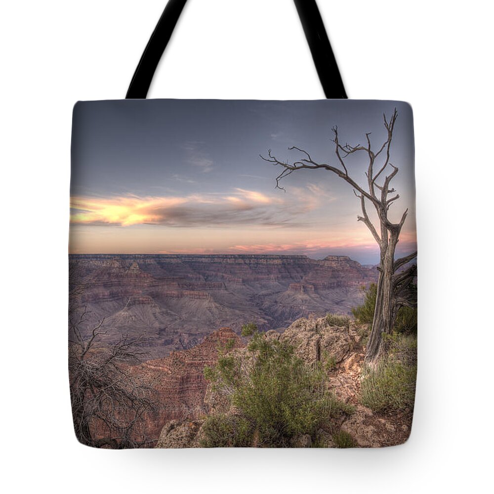 Grand Canyon Tote Bag featuring the photograph Grand Canyon 991 by Michael Fryd
