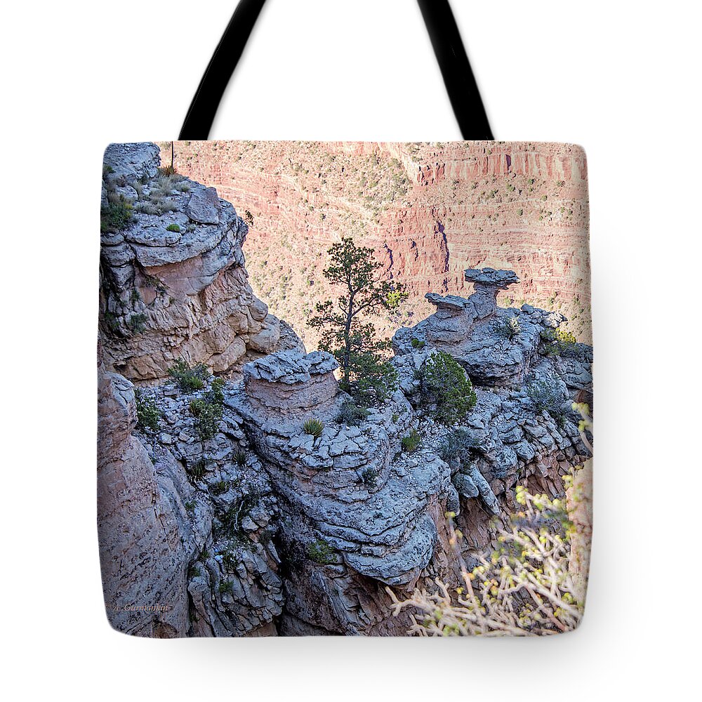 Cliff Tote Bag featuring the photograph Grand Canyon Cliff Wall, Arizona by A Macarthur Gurmankin