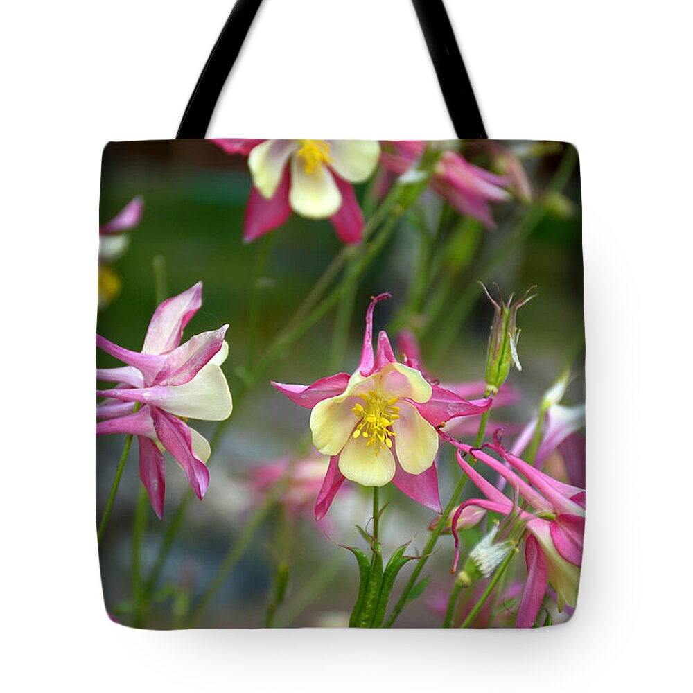 Grand Tote Bag featuring the photograph Grand Lake Floral Study 6 by Robert Meyers-Lussier