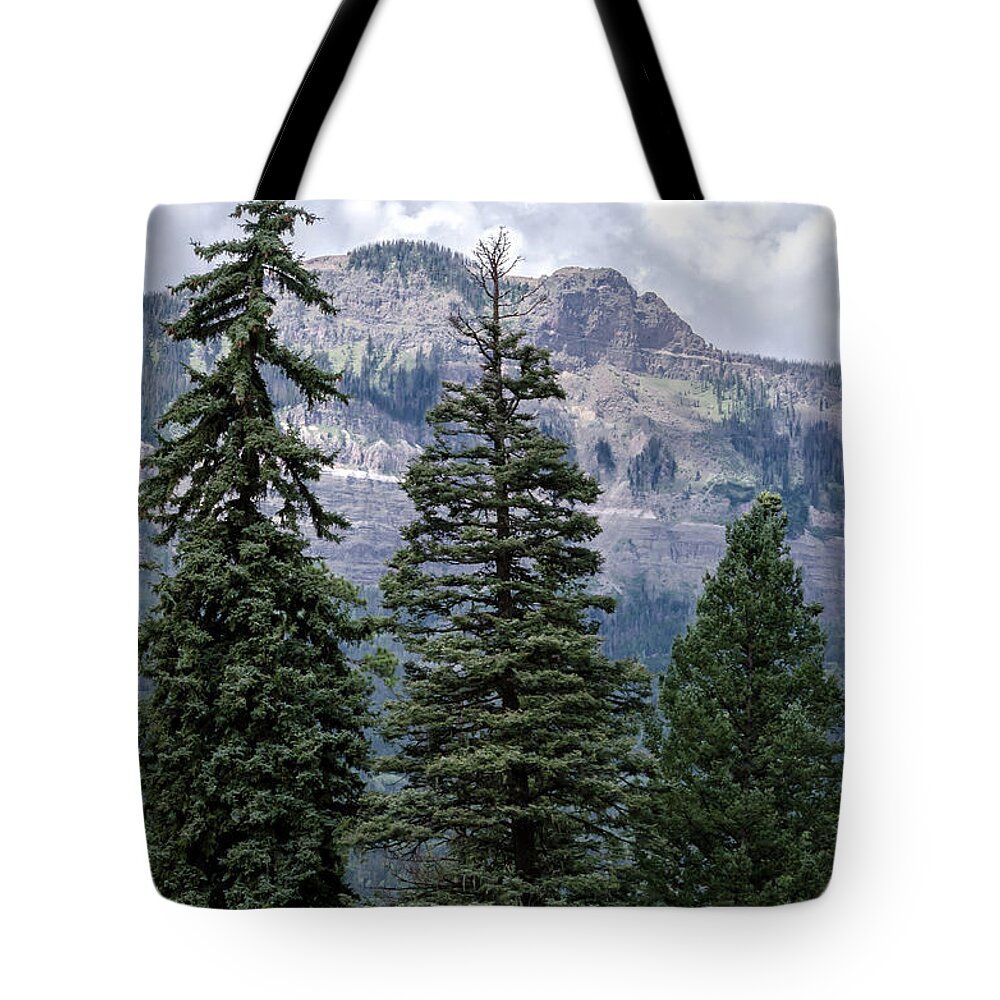 Trees Tote Bag featuring the photograph Grand Mesa Forest by Jaime Mercado