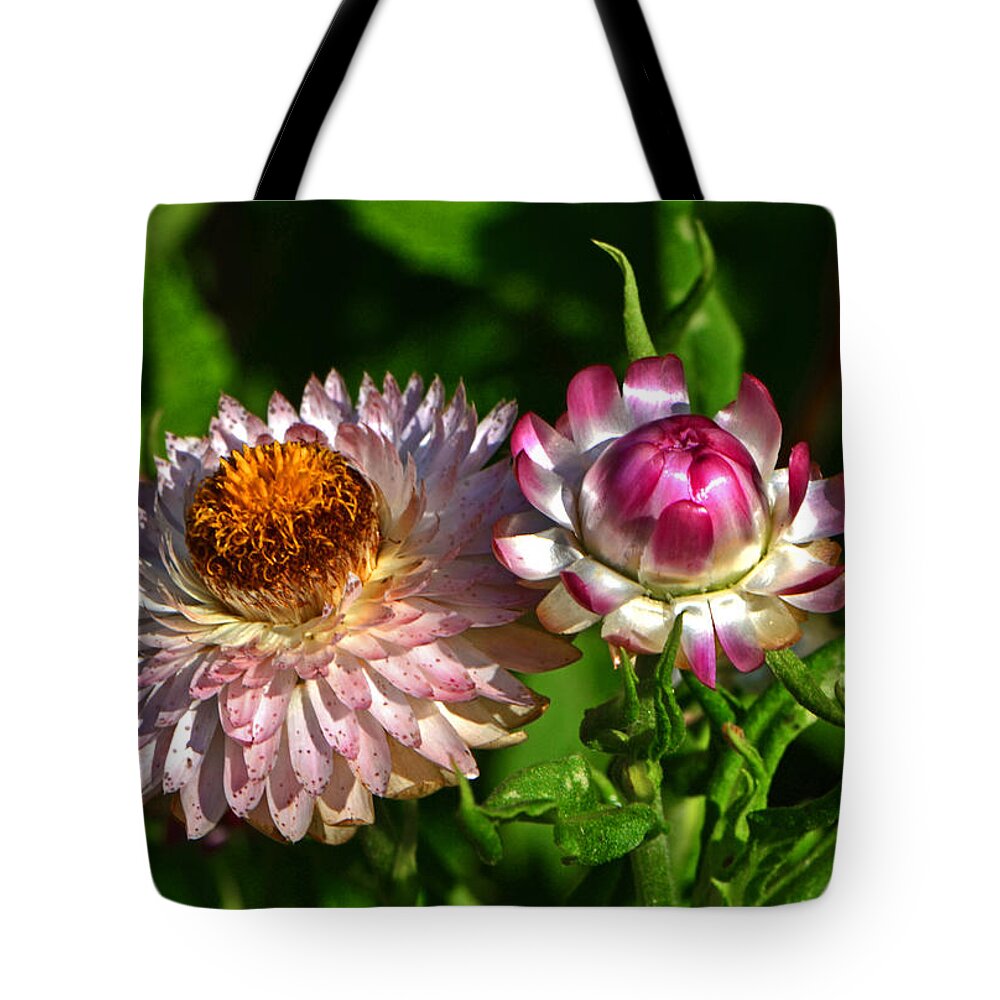 Floral Tote Bag featuring the photograph Grand Opening - Before And After 001 by George Bostian
