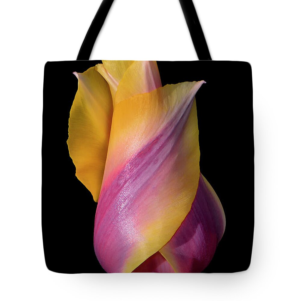 Tulip Tote Bag featuring the photograph Grand Opening - Purple And Yellow Tulip 001 by George Bostian