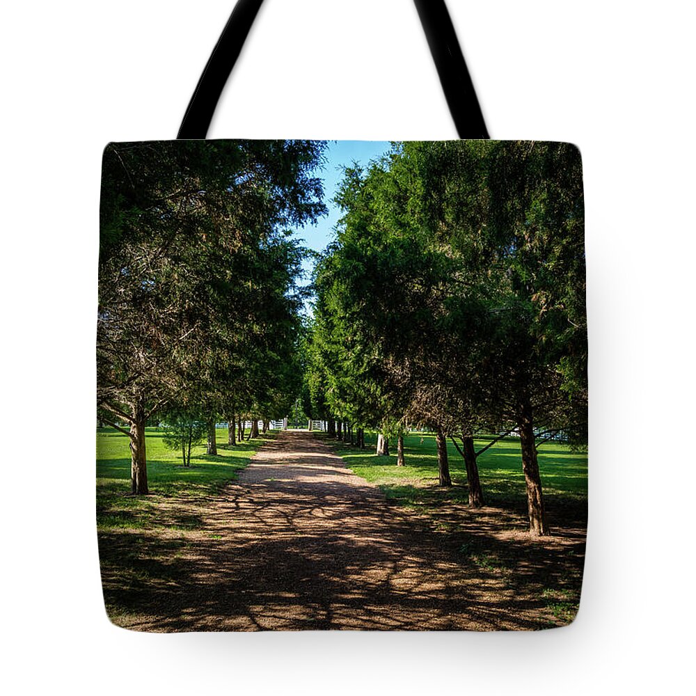 Hermitage Tote Bag featuring the photograph Grand Pathway - The Hermitage by James L Bartlett